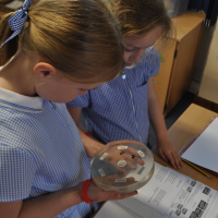 Moon rocks visit Menston Primary School